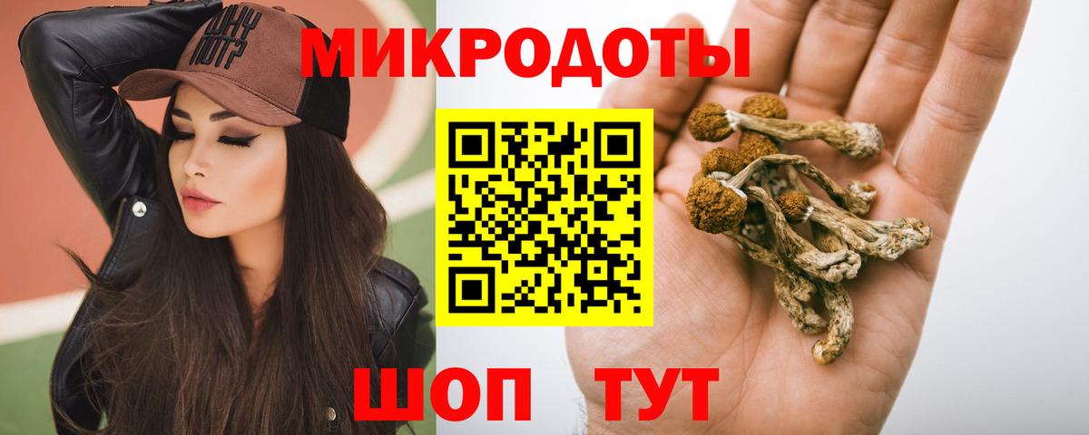 Псилоцибиновые грибы Magic Shrooms Ставрополь
