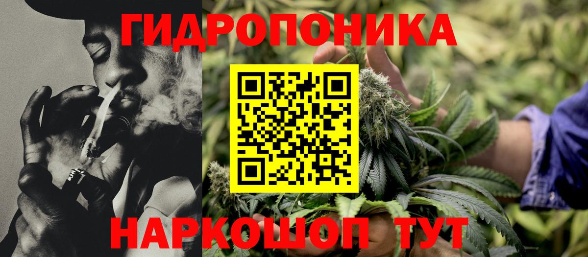 Канабис индика Ставрополь
